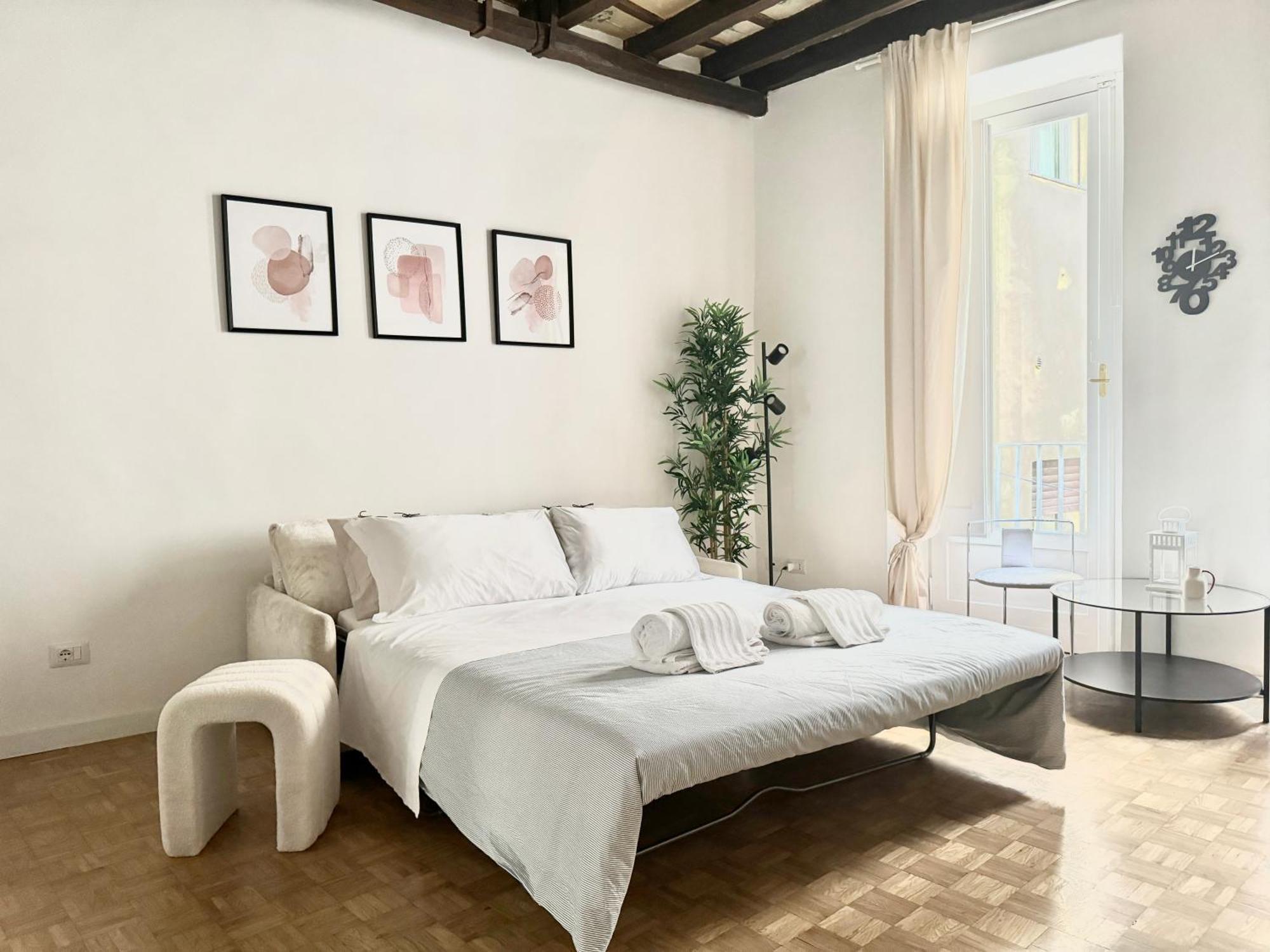 Luxury Historic Center Apartment