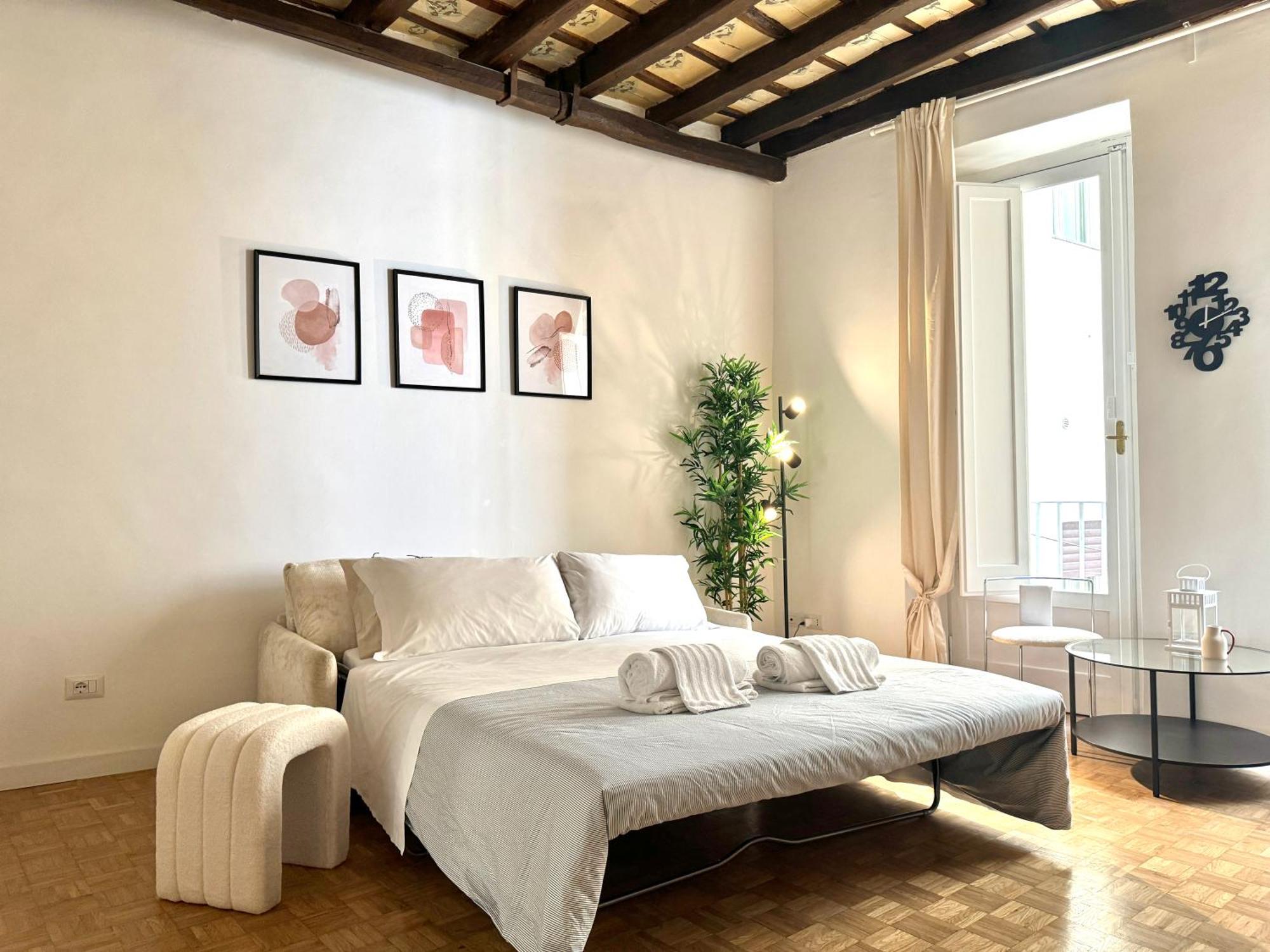 Luxury Historic Center Apartment