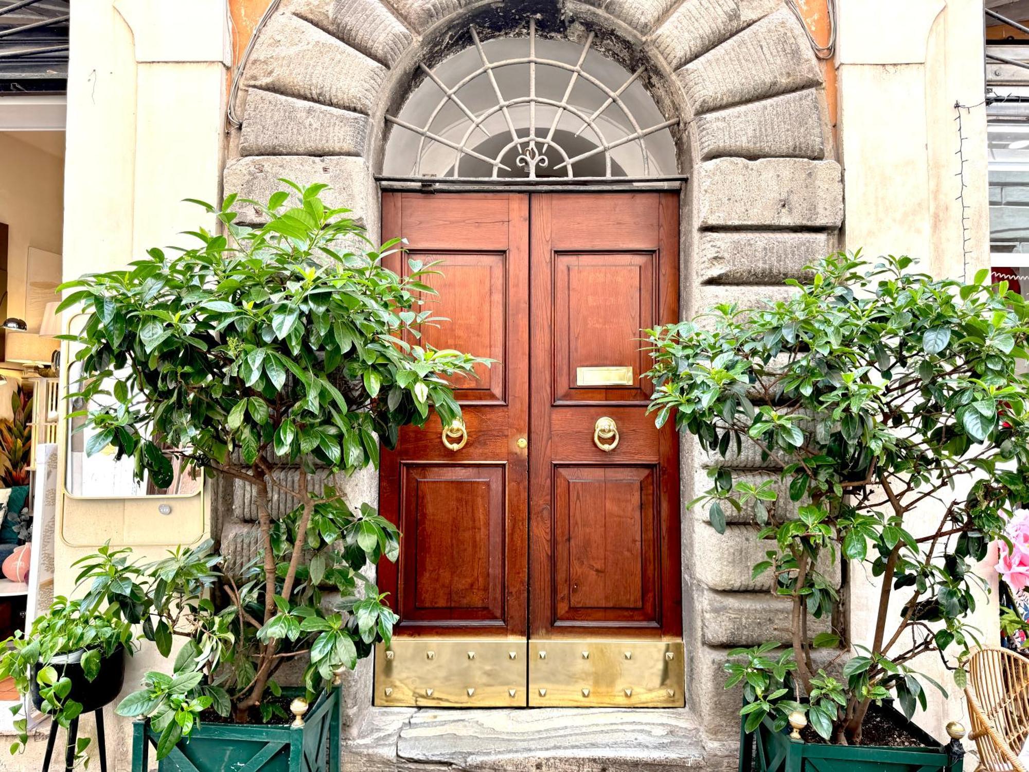Luxury Historic Center Apartment
